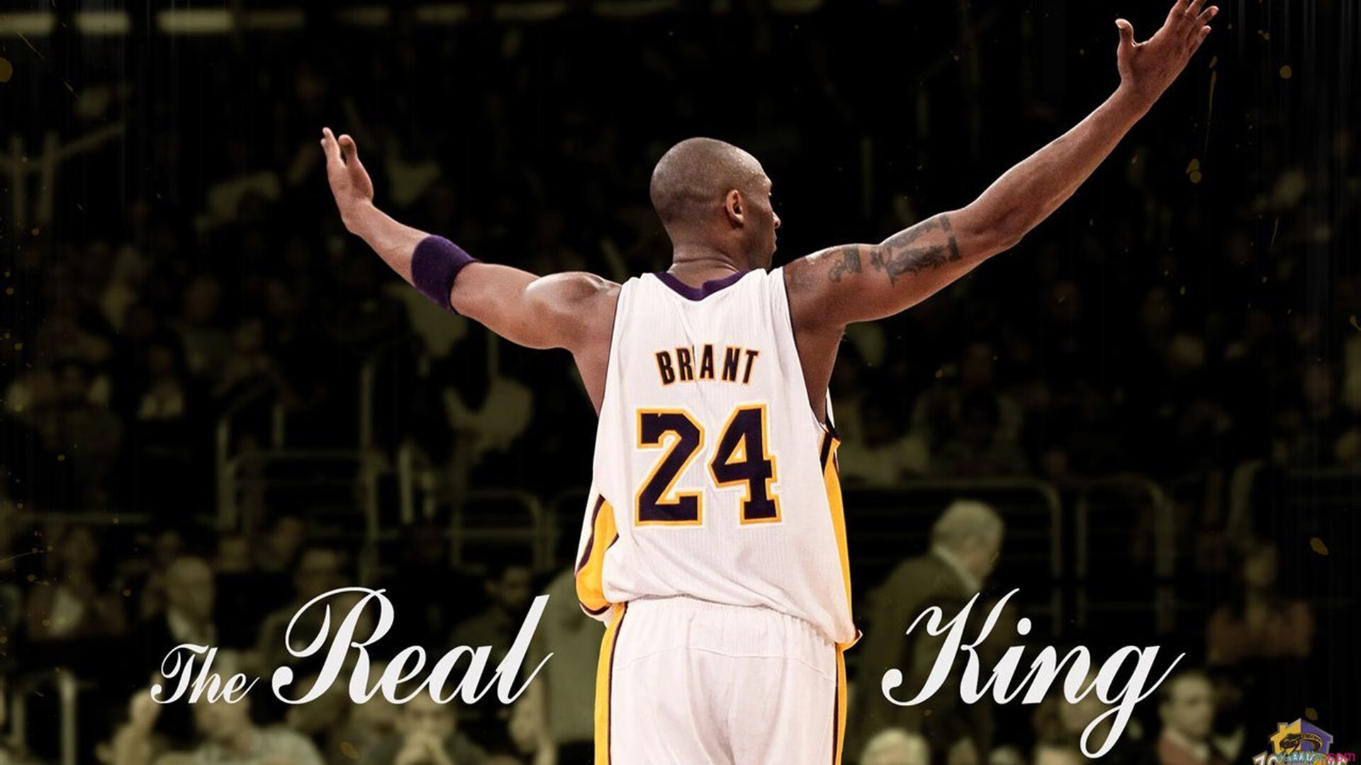 赛场底蕴：球队文化与历史传承揭秘，球队文化与企业文化